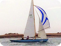 V8 Clary