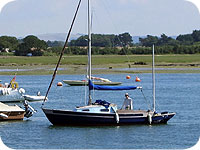 Drascombe