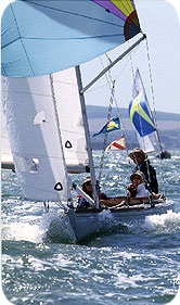 Solent Sunbeam Bryony